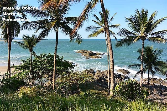 Paraiso Na Praia Otel Ilhéus Oda fotoğraf