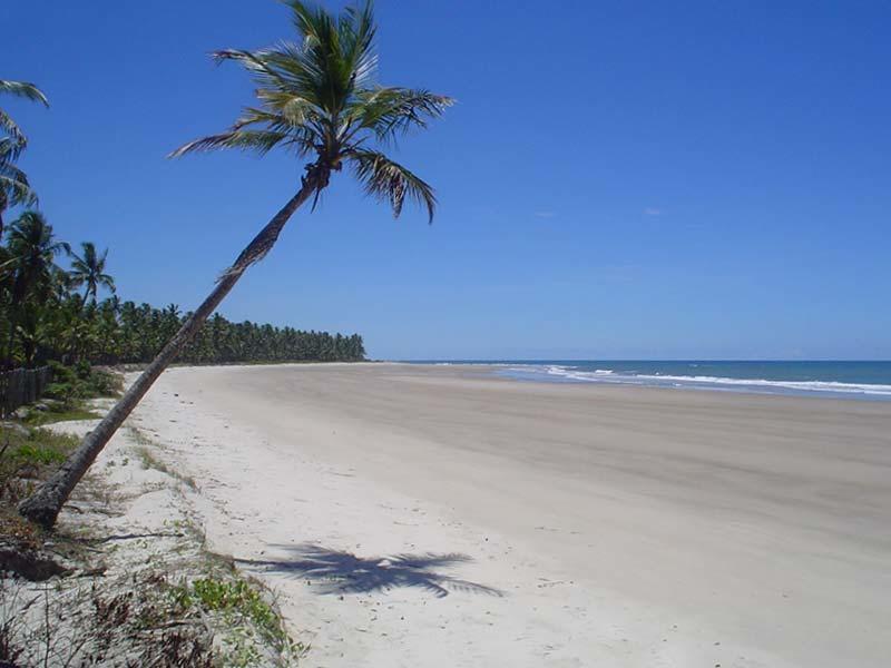 Paraiso Na Praia Otel Ilhéus Oda fotoğraf